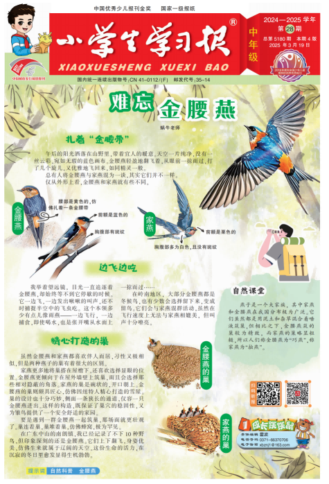 小学生学习报（中年级）