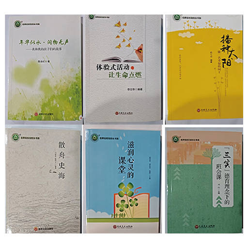 名师名校名校长书系：德育教育6册