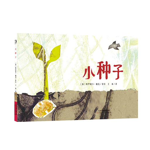 幼儿暖绘本系列--小种子