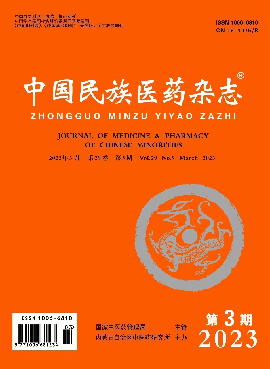 中国民族医药杂志（汉）