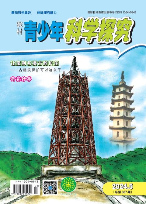 农村青少年科学探究