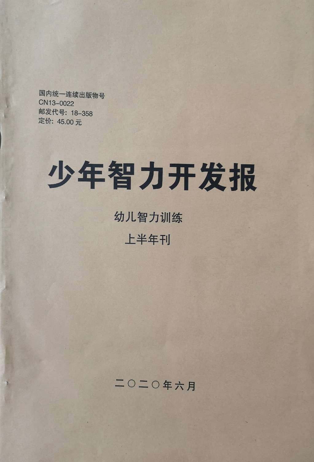 少年智力开发报（幼儿智力训练合订本）