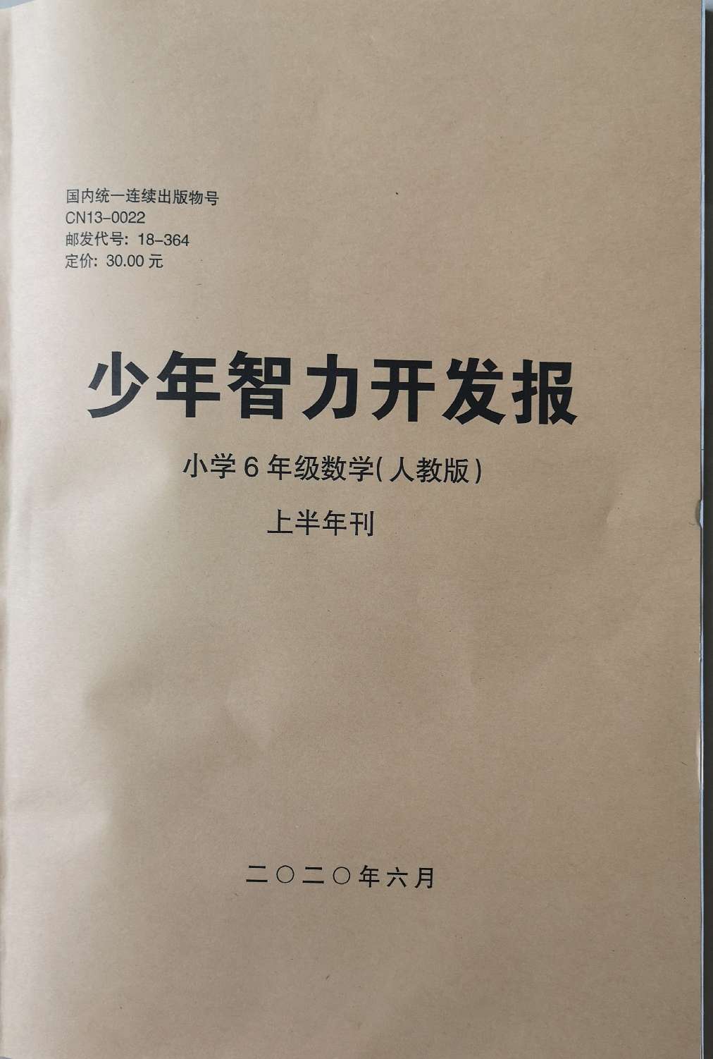 少年智力开发报（小学数学6年级人教版合订本）