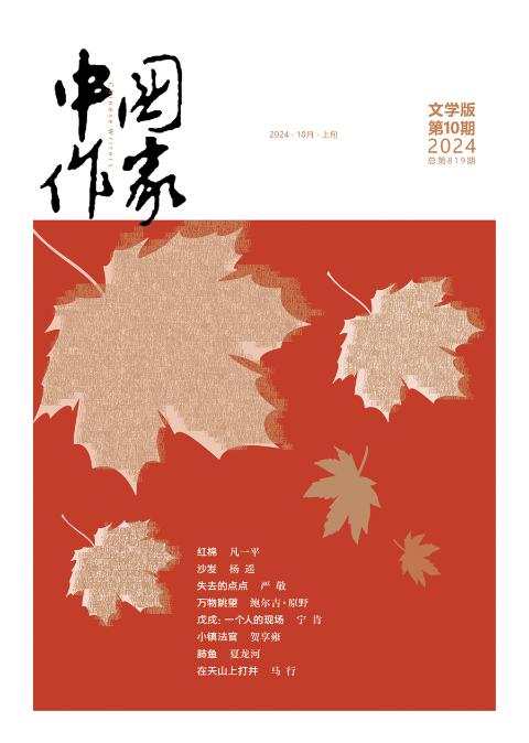 中国作家（文学版）