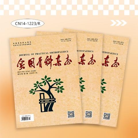 实用骨科杂志