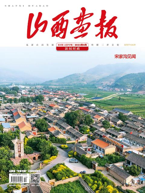 山西画报.新闻时政刊