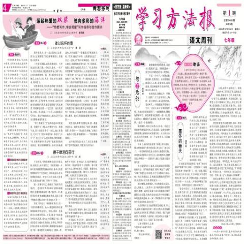 学习方法报.语文周刊七年级