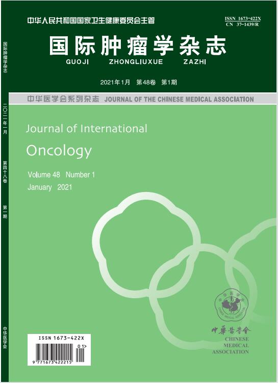 国际肿瘤学杂志