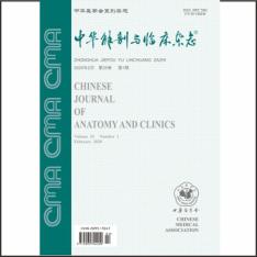 中华解剖与临床杂志