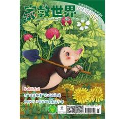 家教世界(创新阅读）