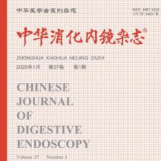 中华消化内镜杂志