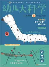 东方娃娃·幼儿大科学