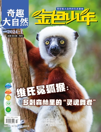 《金色少年》奇趣大自然