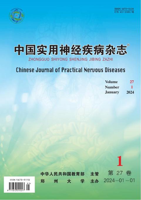 中国实用神经疾病杂志