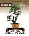 花木盆景