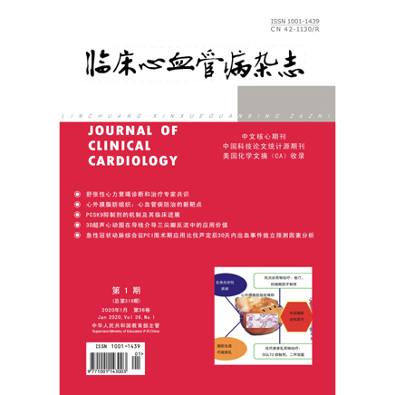 临床心血管病杂志