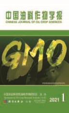 中国油料作物学报