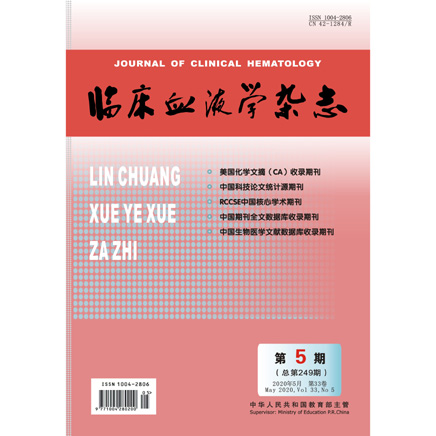 临床血液学杂志