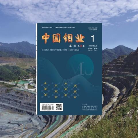 中国钼业
