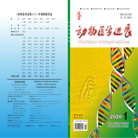 动物医学进展