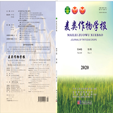 麦类作物学报