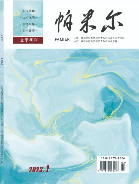 帕米尔文学（汉）