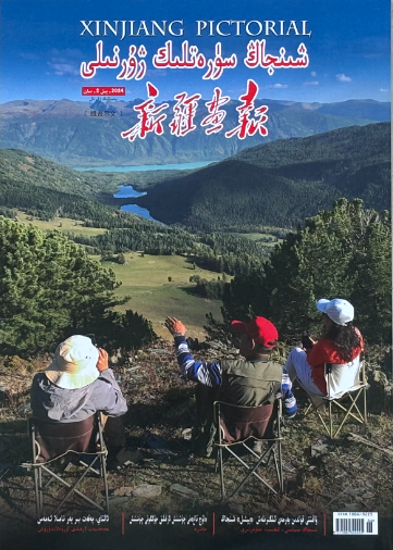 新疆画报(维)
