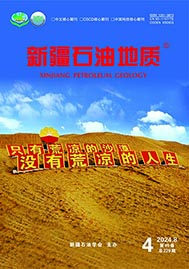 新疆石油地质(汉)
