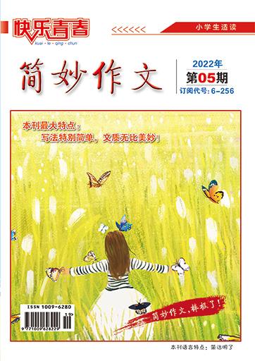 快乐青春(简妙作文小学版)