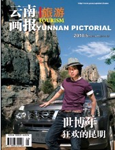 云南画报