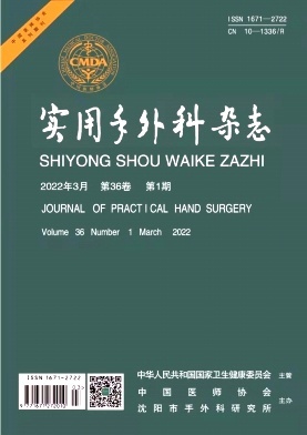实用手外科杂志