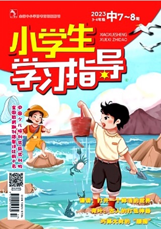 小学生学习指导(中年版)