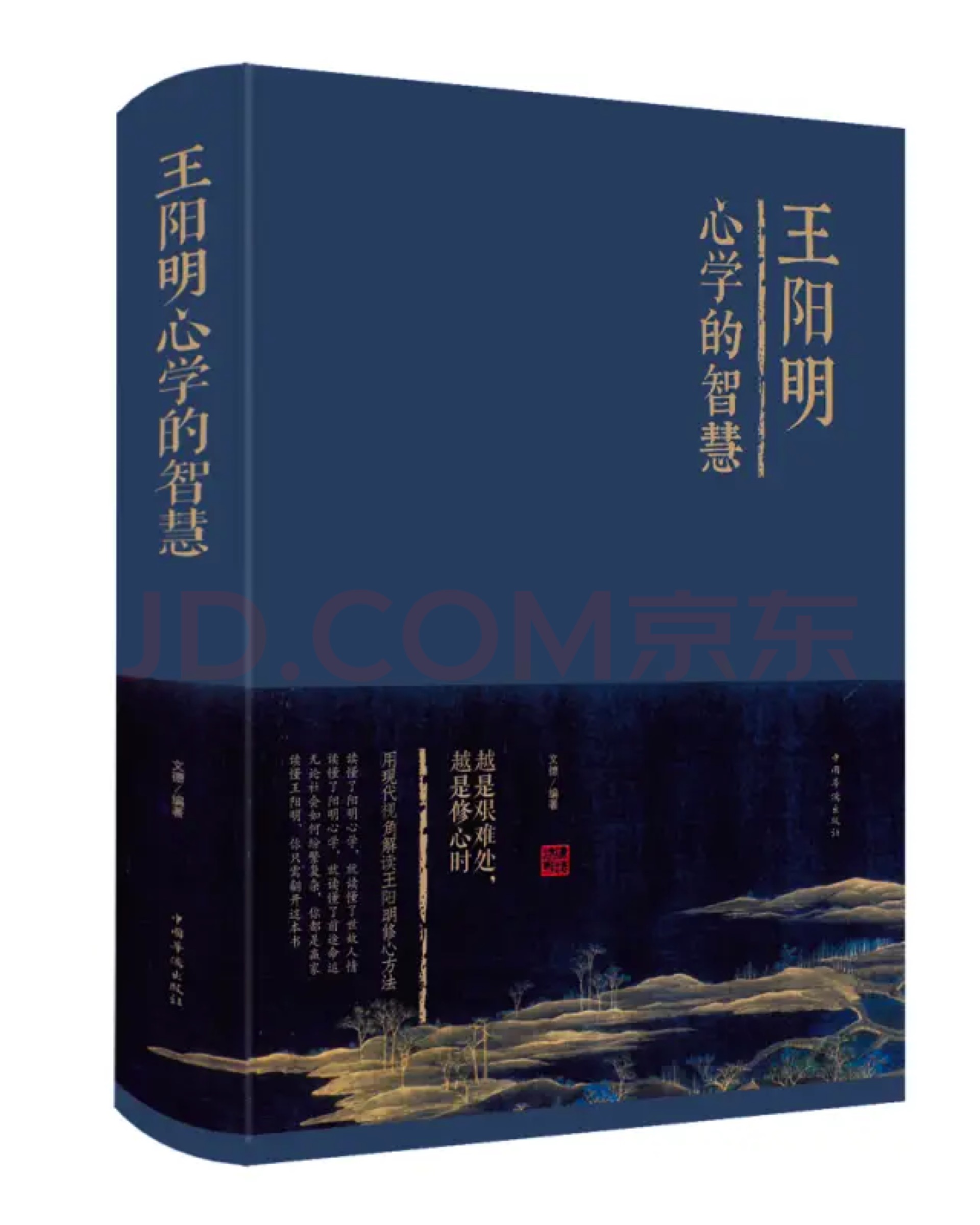 王阳明心学的智慧(精装)