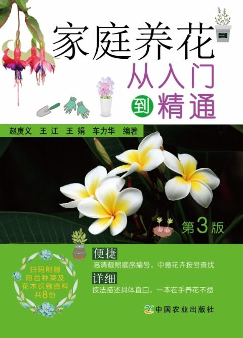 家庭养花从入门到精通