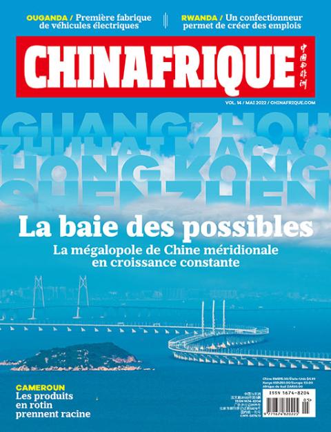 中国与非洲(法文版)