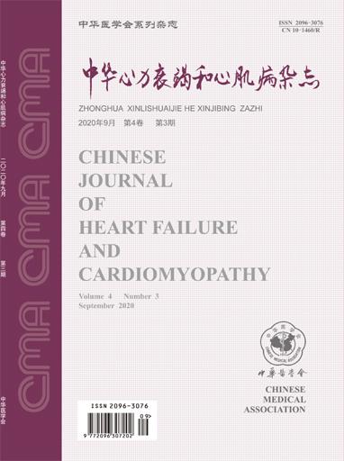 中华心力衰竭和心肌病杂志(中英文)