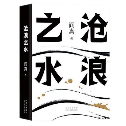 沧浪之水（入围茅盾文学奖。职场小白、考公人的启蒙之书）